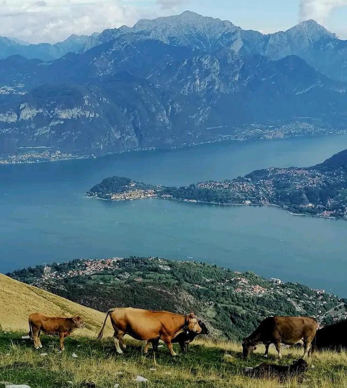 Casa Intignano - Camera Con Bagno E Portico Vista Lago เตรเมสโซ ภายนอก รูปภาพ
